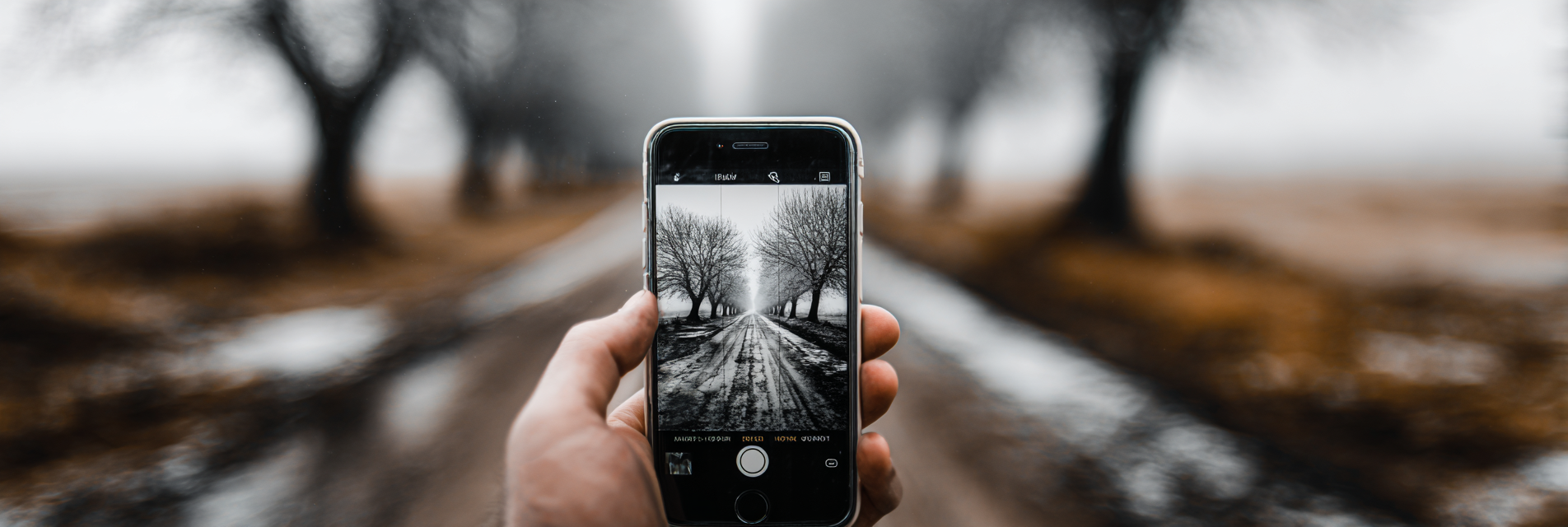 Gesichter der Bretagne